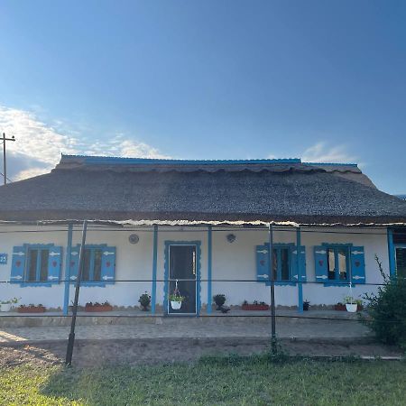 Casa Cu Stuf موريغيول المظهر الخارجي الصورة