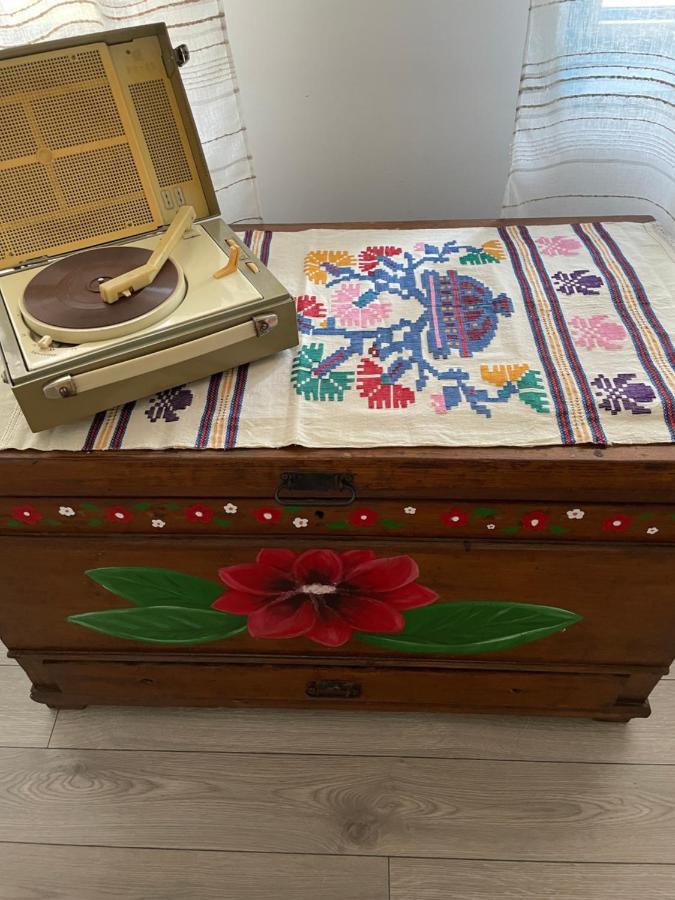 Casa Cu Stuf موريغيول المظهر الخارجي الصورة