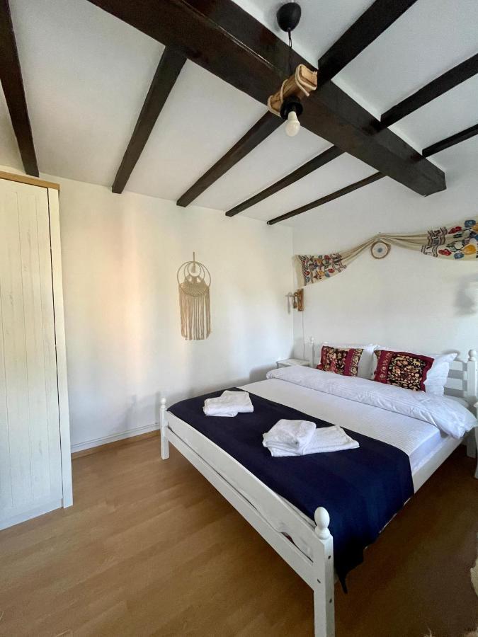 Casa Cu Stuf موريغيول المظهر الخارجي الصورة