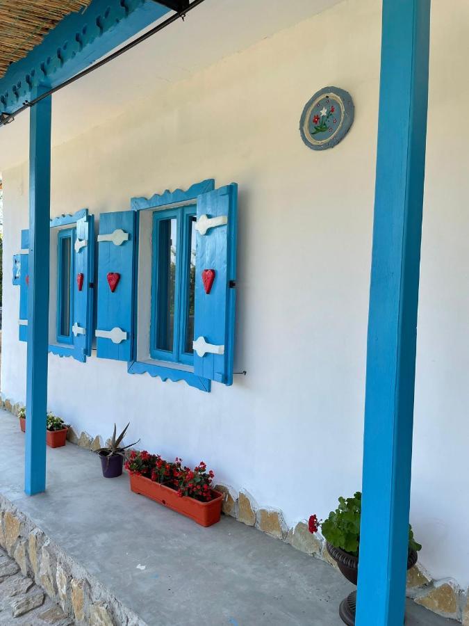 Casa Cu Stuf موريغيول المظهر الخارجي الصورة